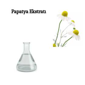 CHAMOMILLA RECUTITA FLOWER EXTRACT (PAPATYA EKSTRAKTI)