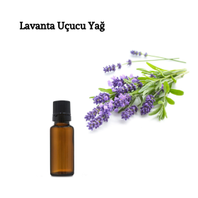 LAVANTA UÇUCU YAĞ 10 ML